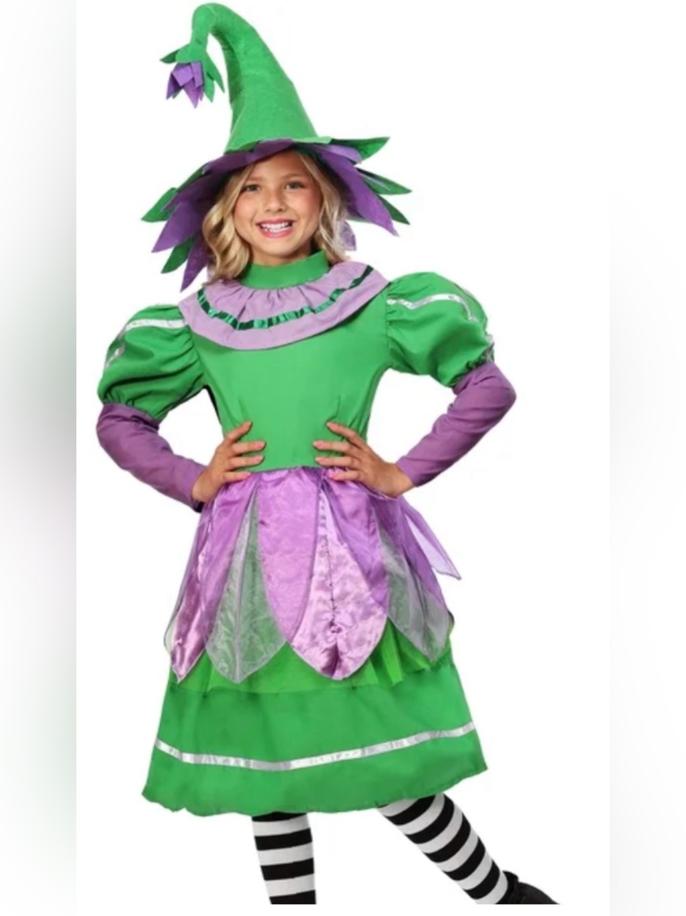 Munchkin Girl Halloween Costume Green Purple Dress With Hat Size Large Cosplay